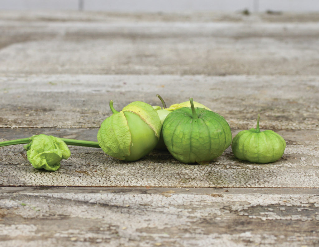 tomatillo
